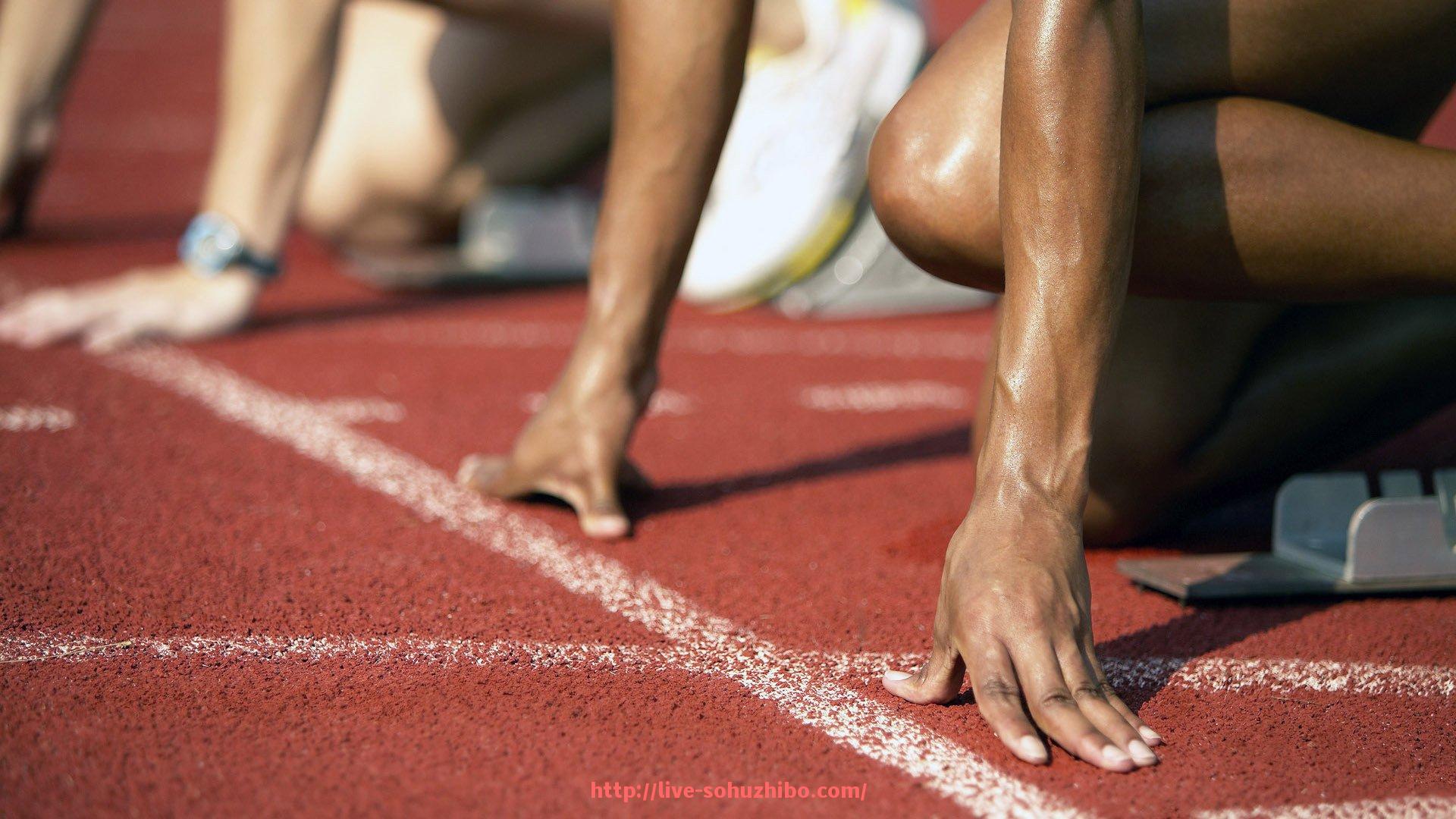 搜狐体育直播-健身器材训练器的种类及体育力量训练实用方法