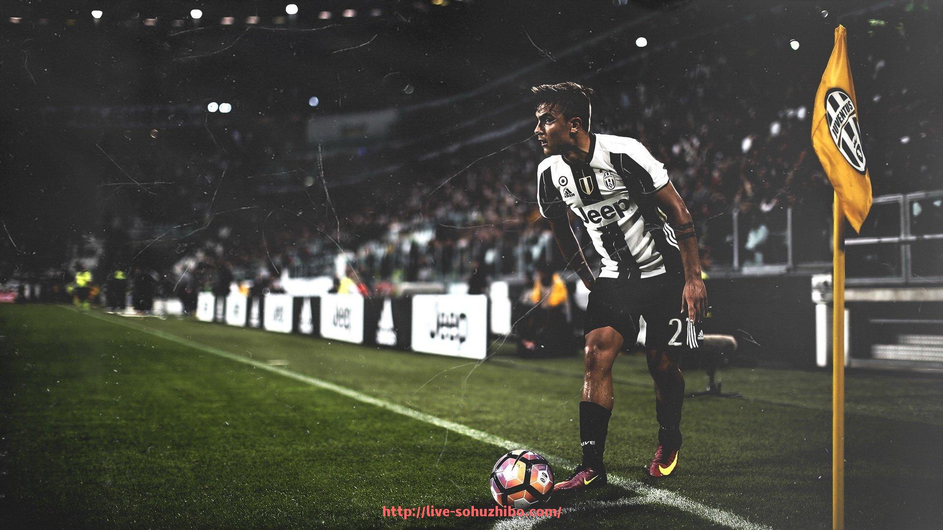 搜狐体育直播-健身器材图片欣赏与搭配灵感分享